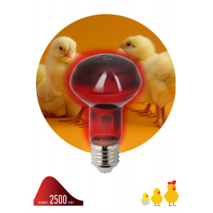 Инфракрасная лампа ИКЗК 230-60 R63 Е27 для обогрева животных 60 Вт Е27 Б0057281