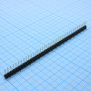 DS1022-1X40MAF1-A0.48-B6.0-C1.25-XB-B