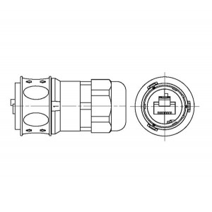 RJF5446, Модульные соединители / соединители Ethernet Plug w/Plastic Gland Push-Pull