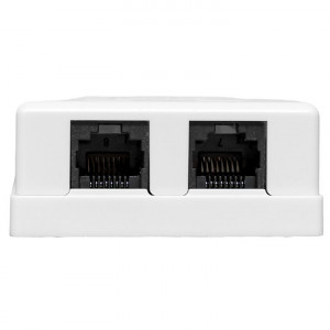 Розетка настенная TERACOM кат.5E неэкранированная 2 порта RJ-45 Dual IDC бел. TRC-WBOX-2RJ45-5EUTP-WH