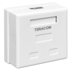 Розетка настенная TERACOM кат.5E неэкранированная 2 порта RJ-45 Dual IDC бел. TRC-WBOX-2RJ45-5EUTP-WH