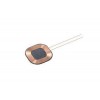 WR301025-19M8-G