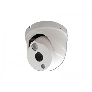 FT-AM500DFIGA20, IP камера, 5Мп, ИК-подсветка до 20м, уличная, купольная