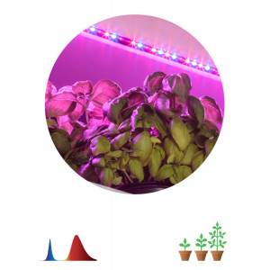 Светодиодная лента для растений FITO-Strip Light-RB-2m красно-синего спектра, 2 м, IP65 Б0057282