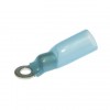 RV2-3 HST BLUE