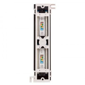 Патч-панель настенная кат.5E UTP неэкранир. 12 портов RJ45 Dual IDC TERACOM PRO TRP-WPP-5EUTP-12