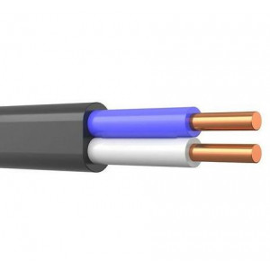 Кабель ВВГ-Пнг(А) 2х4 ОК (N) 0.66кВ (м) ТХМ00214373