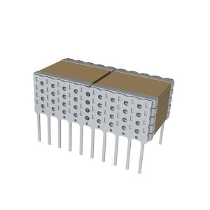 L1GN30G204KA10, Многослойные керамические конденсаторы - покрытие с содержанием свинца 2000V 0.2uF C0G 10%