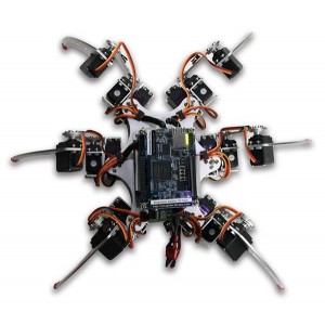 P0425, Средства разработки интегральных схем (ИС) программируемой логики Spider Robot Kit