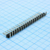 DS1022-1X20RDF11-B