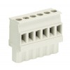 Розетка Wiecon 8113 B / 6 VL OB
