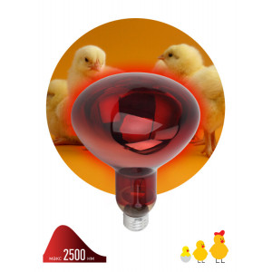 Инфракрасная лампа ИКЗК 220-250 R127, кратность 1 шт. для обогрева животных и освещения, 250 Вт, Е27 Б0055442