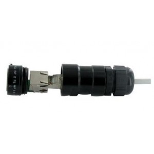 RJF62APEWF1B, Модульные соединители / соединители Ethernet Cat6 A Code In Line REC Black