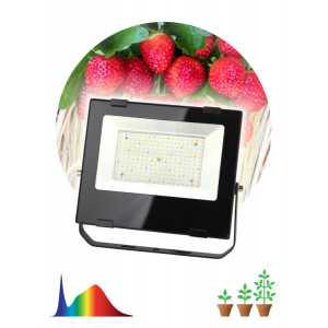 Фитопрожектор для растений светодиодный FITO-100W-Ra90-LED для цветения и плодоношения полного спектра 100 Вт Б0047876