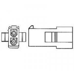 1-172157-9, Штыревые и гнездовые соединители RCPT HSG 2P .163"