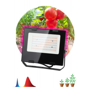 Фитопрожектор для растений светодиодный FITO-50W-RB-LED для цветения и плодоношения красно-синего спектра 50 Вт Б0046368