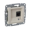 SEDNA РОЗЕТКА КОМПЬЮТЕРНАЯ RJ45, одиночная, кат. 5е, неэкр. UTP, БЕЖЕВЫЙ C2 SDN4300147