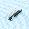 DS1022-1X10RDF11-B