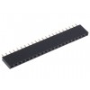 DS1023-1X22S21