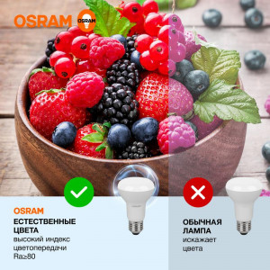 Лампа светодиодная LED Value LV R63 60 8SW/865 8Вт рефлектор матовая E27 230В 10х1 RU OSRAM 4058075581944