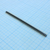 DS1004-1X40F11-B