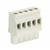 Розетка Wiecon 8213 B / 5 VL OB
