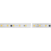 Лента герметичная ARL-PV-B54-15.5mm 230V Warm3000 (8 W/m, IP65, 5060, 50m) 027058(2)